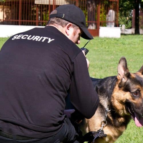 can you get a security license online