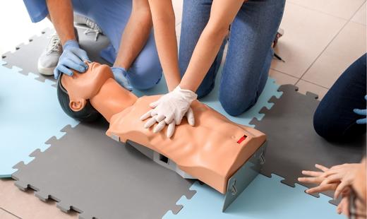 first aid instructor course hamilton