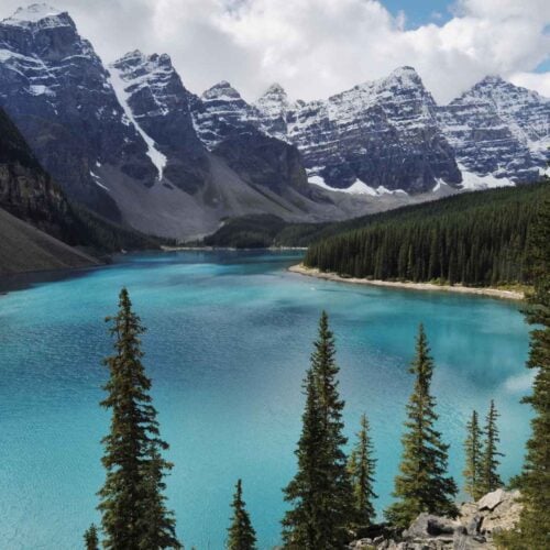 First Aid and CPR Tips for surviving in Alberta
