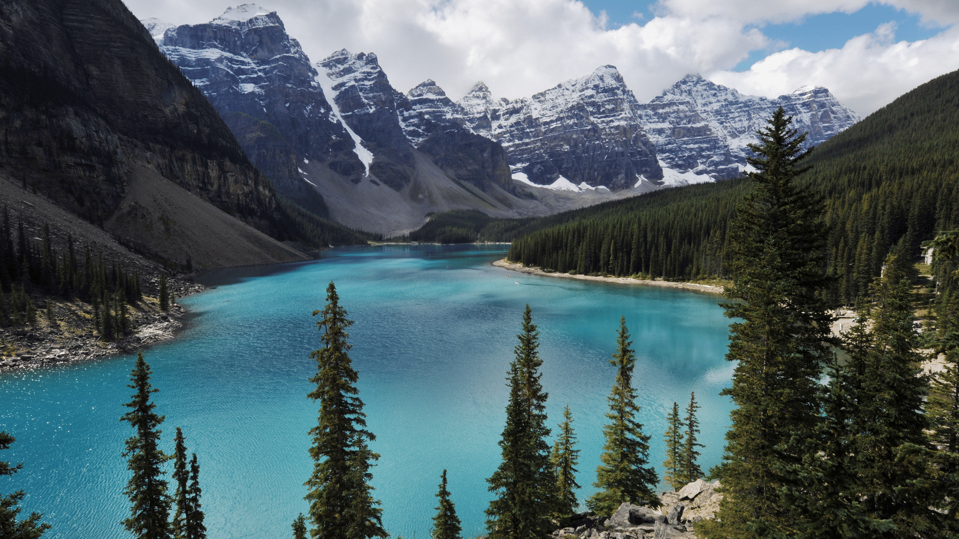 First Aid and CPR Tips for Surviving in Alberta Coast2Coast