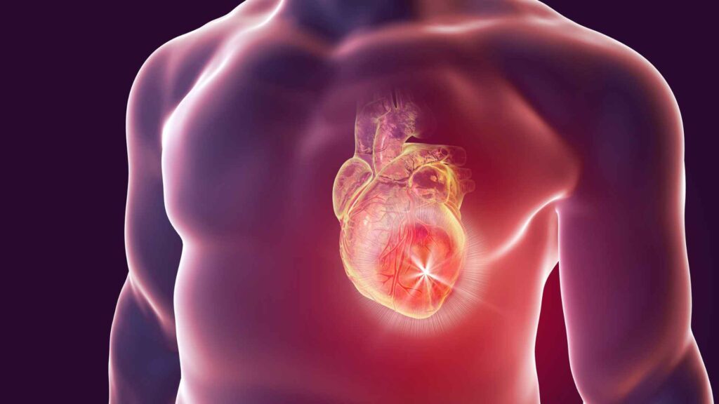 An x-ray of a person's heart