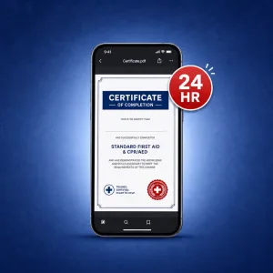 Express Certificate – Get Certified Within 24 Hours!
