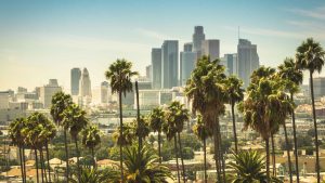 skyline of downtown los angeles in the background with palm trees in the foreground on a sunny day