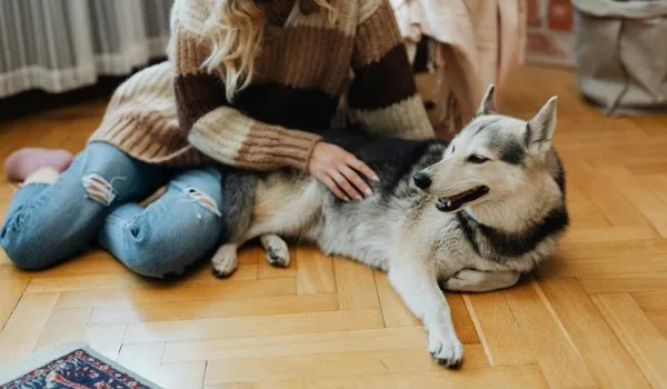 taking care of a pet