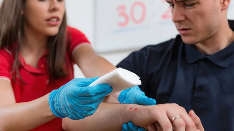 Snake Bite First Aid: How to Respond to a Venomous Snake Bite — Coast2Coast Richmond Hill